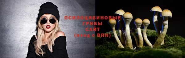 скорость mdpv Ладушкин