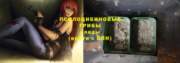 стафф Аркадак