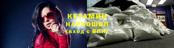 стафф Аркадак
