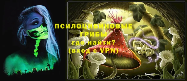 стафф Аркадак