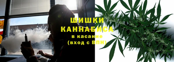 молекула духа Балахна