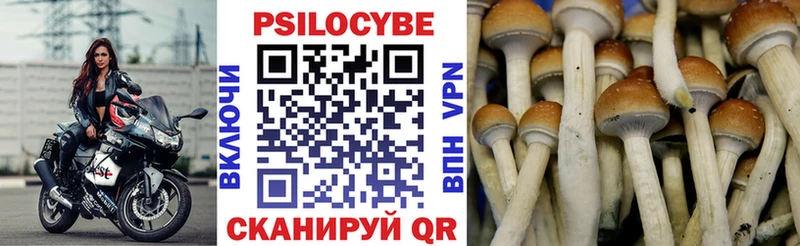 Псилоцибиновые грибы ЛСД Ессентуки